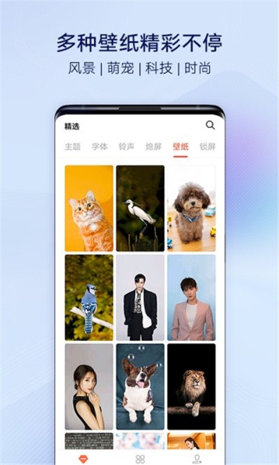 vivo主题商店app官方正版