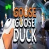 goosegooseduck辅助器