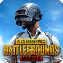 PUBGMobile国际服地铁逃生版 v2.8.0 最新版